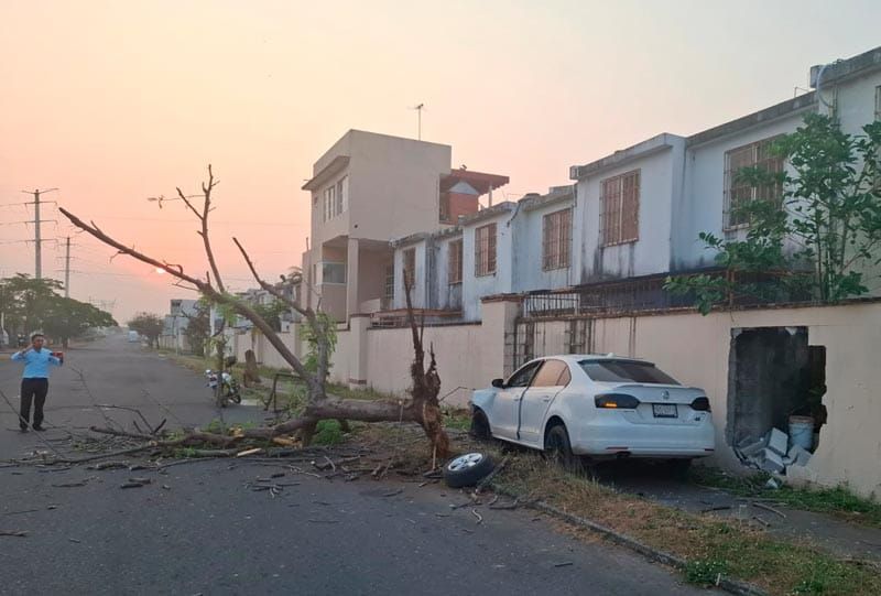 ¡AUTOMOVILÍSTA DERRIBA ÁRBOL Y DEJA UN BOQUETE EN BARDA!