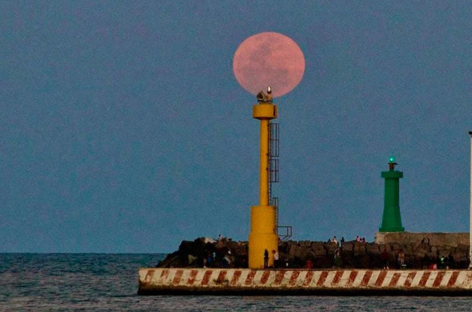 ¡LUNA LLENA O ROSA!