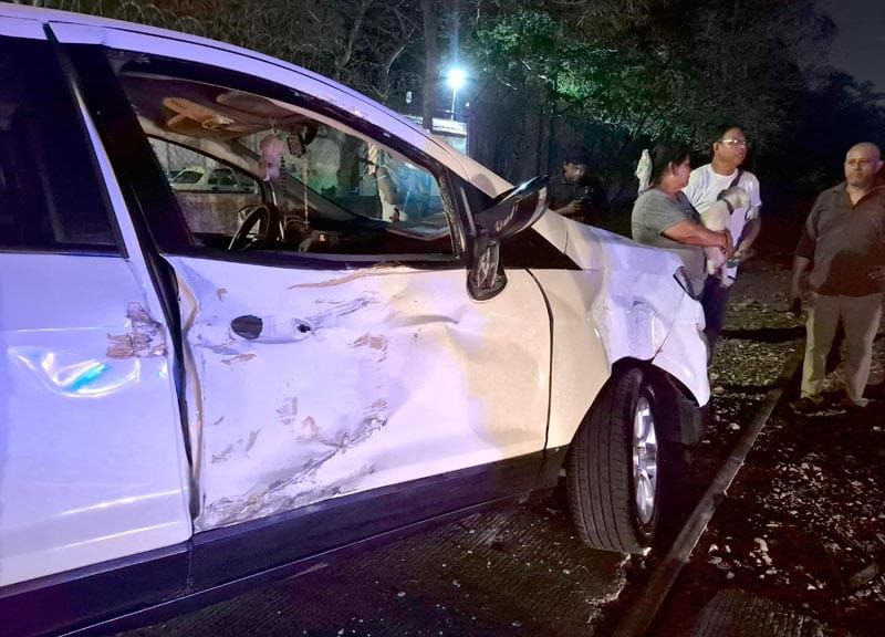 ¡FERROCARRIL ARRASTRA A PAREJA Y SU PERRITA!
