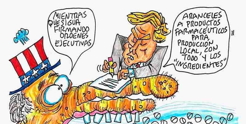 LOS CARTONES