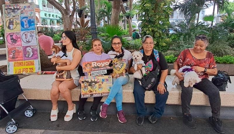 ¡TENDREMOS CARNAVAL CANINO!