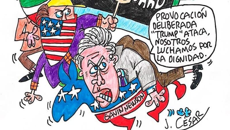 LOS CARTONES