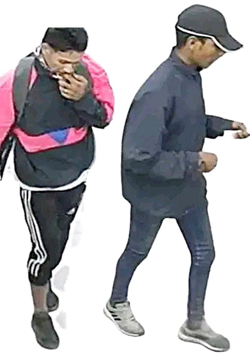 ¡COMERCIANTES ALERTAN POR PAREJA DE “RATAS” EN PASO DEL TORO Y MEDELLÍN!