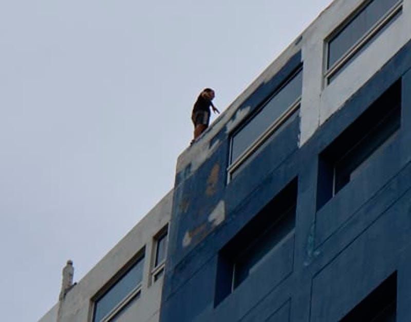 ¡SALVAN A ‘KAMIKAZE’!