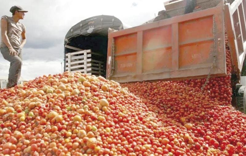 ¡LE METEN ARANCEL DE 17% AL TOMATE! - PACATELAS