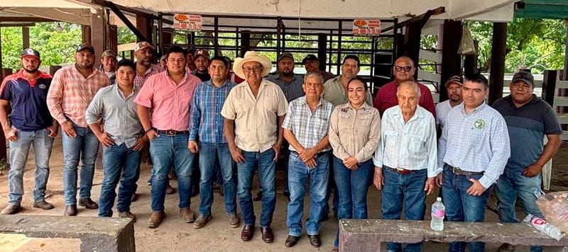 ¡CULPAN A SENASICA! - GANADEROS