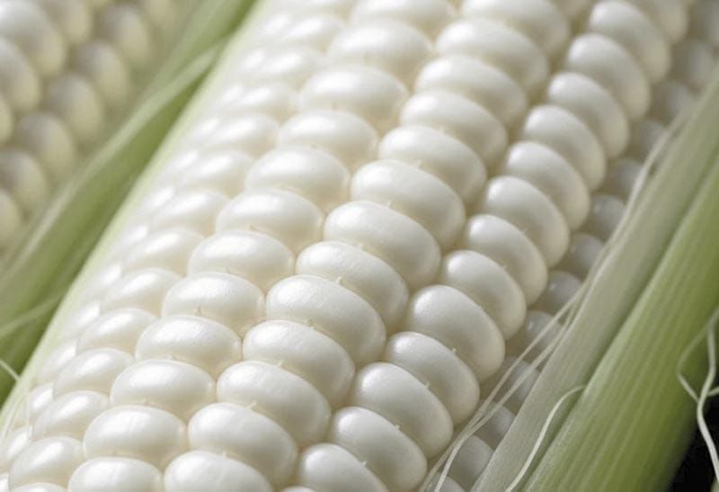 ¡MÉXICO GARANTIZA 'ABASTO NACIONAL' DE MAÍZ BLANCO PARA 2025!
