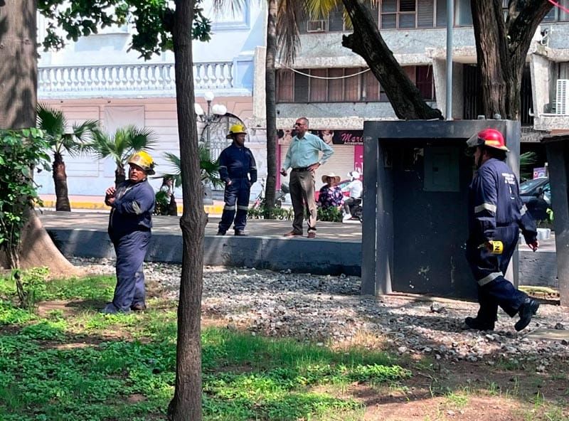 ¡PÁNICO POR ENJAMBRE DE ABEJAS EN EL PARQUE ZAMORA!