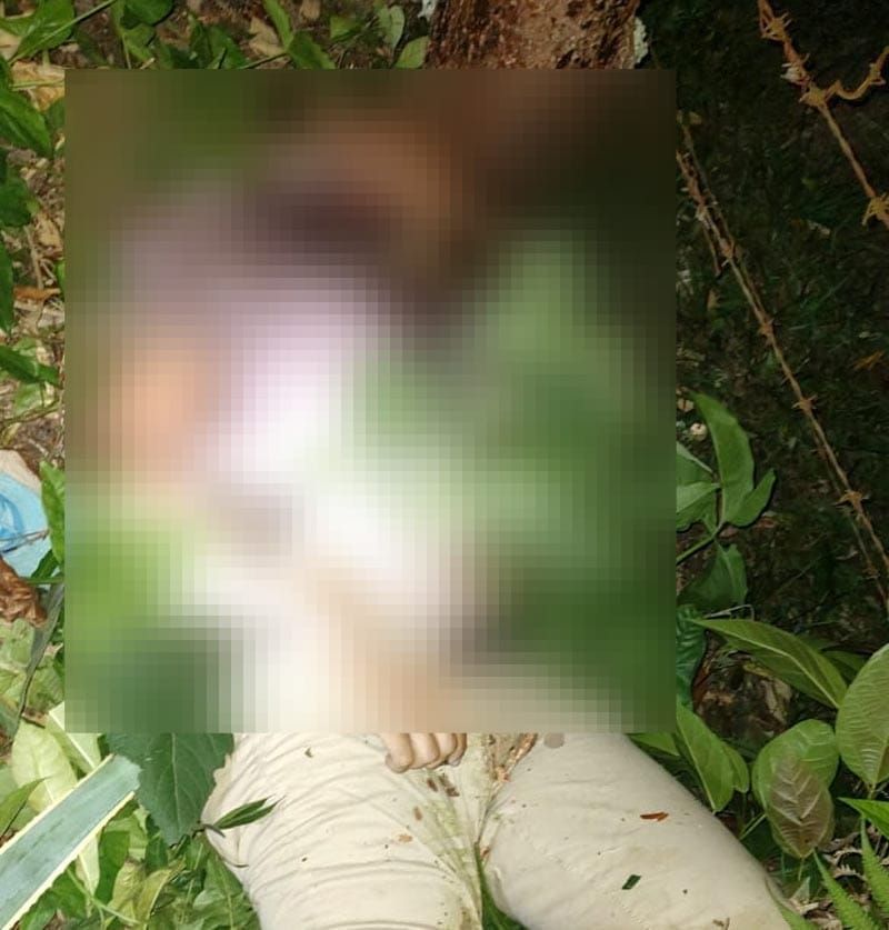 ¡SE MATÓ MILITAR DE LA DEFENSA EN MOTOCICLETAZO EN MISANTLA! - SE IMPACTÓ BRUTALMENTE CONTRA UN ÁRBOL