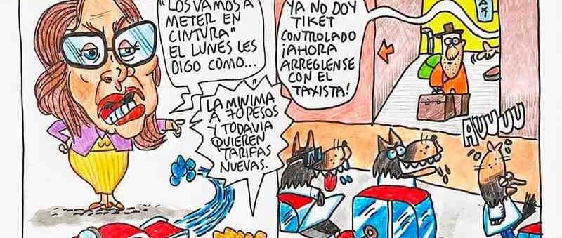 LOS CARTONES