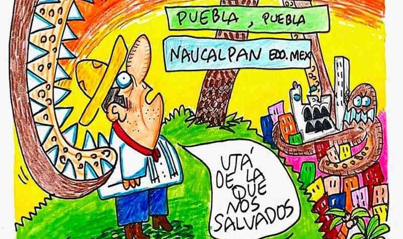 LOS CARTONES