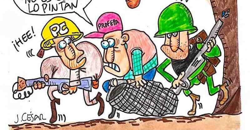 LOS CARTONES