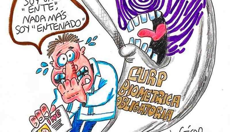 LOS CARTONES