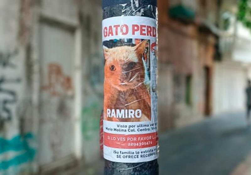 ¡BUSCAN A RAMIRO!