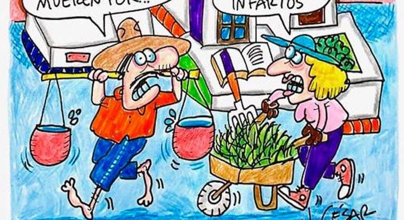 LOS CARTONES