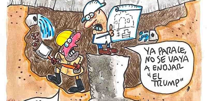 LOS CARTONES