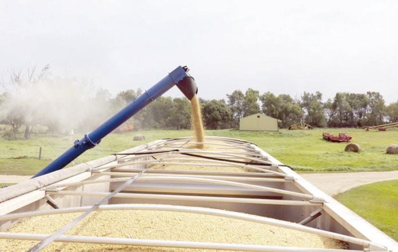 ¡EL DESAIRE DE CHINA A LA SOYA ESTADOUNIDENSE ES UNA CRISIS PARA LOS AGRICULTORES DE EU!