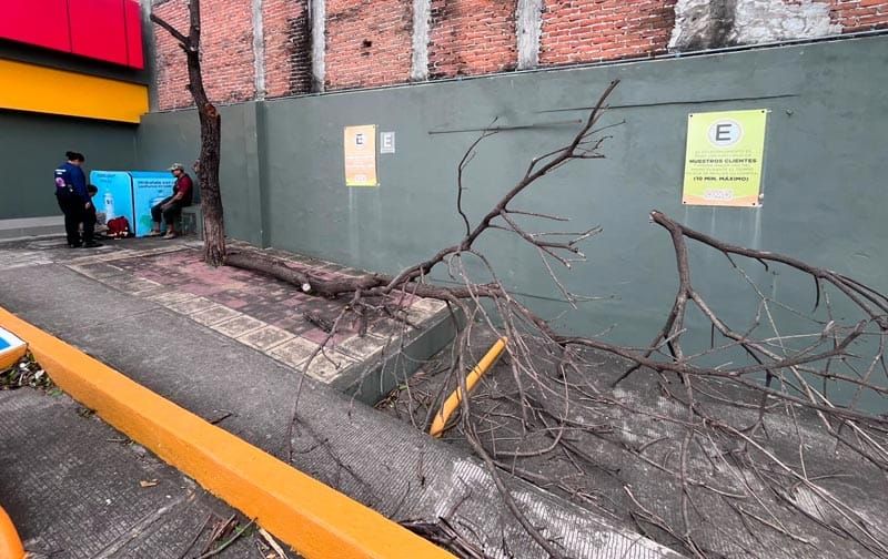 ¡OBRERO LESIONADO DE UN RAMAZO EN TIENDA OXXO!