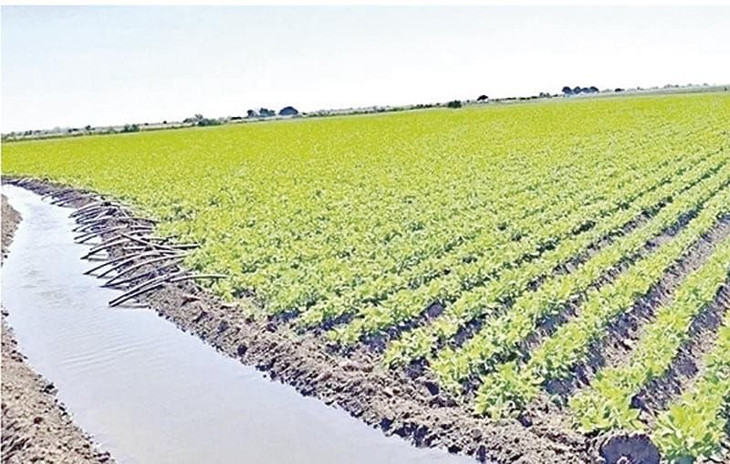 ¡AJUSTAN LEY DE AGUAS!