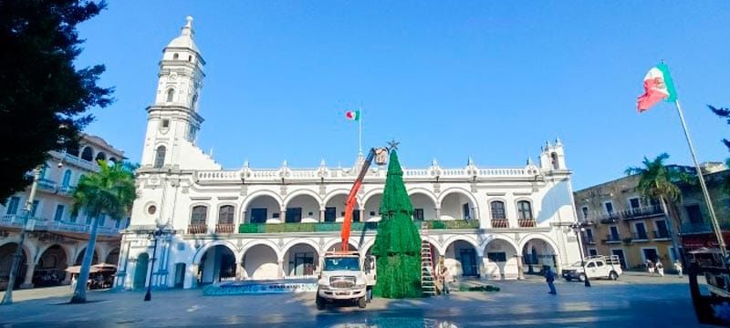 ¡HASTA PONEN EL ÁRBOL DE NAVIDAD!