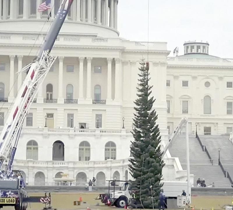 ¡LLEGA MEGA- ÁRBOL DE NAVIDAD AL CAPITOLIO!