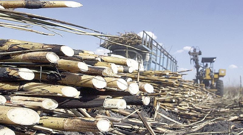 ¡MÉXICO IMPONE ARANCEL DEL 210% AL AZÚCAR IMPORTADA! - PARA PROTEGER AL SECTOR CAÑERO