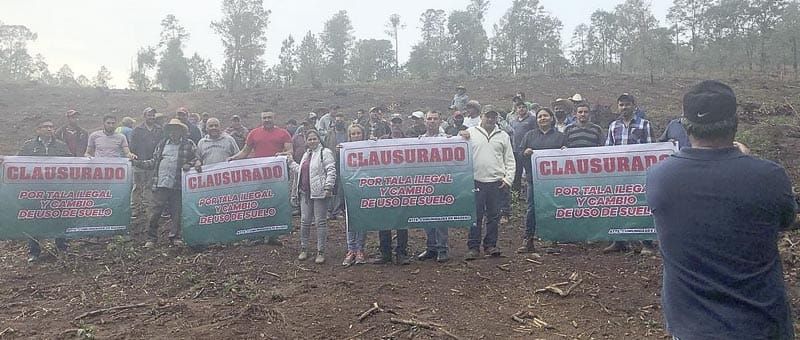 ¡AHORA EL NARCO SENTENCIA A MUERTE A AMBIENTALISTAS DE MICHOACÁN!