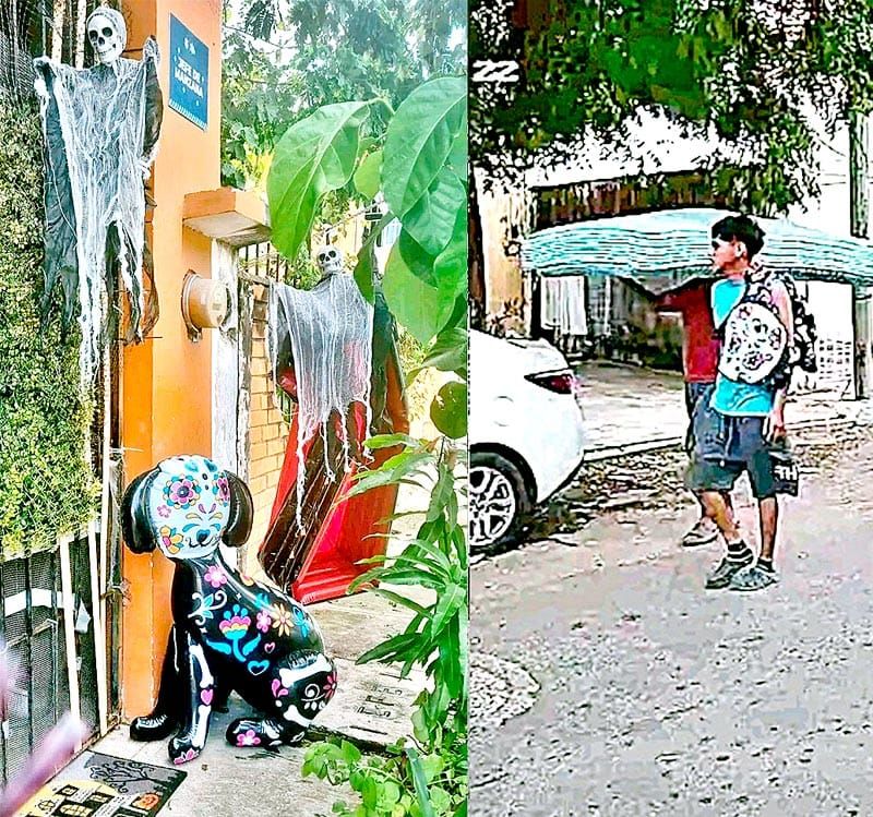 ¡ROBAN ADORNOS DE HALLOWEEN EN LAGUNA REAL!