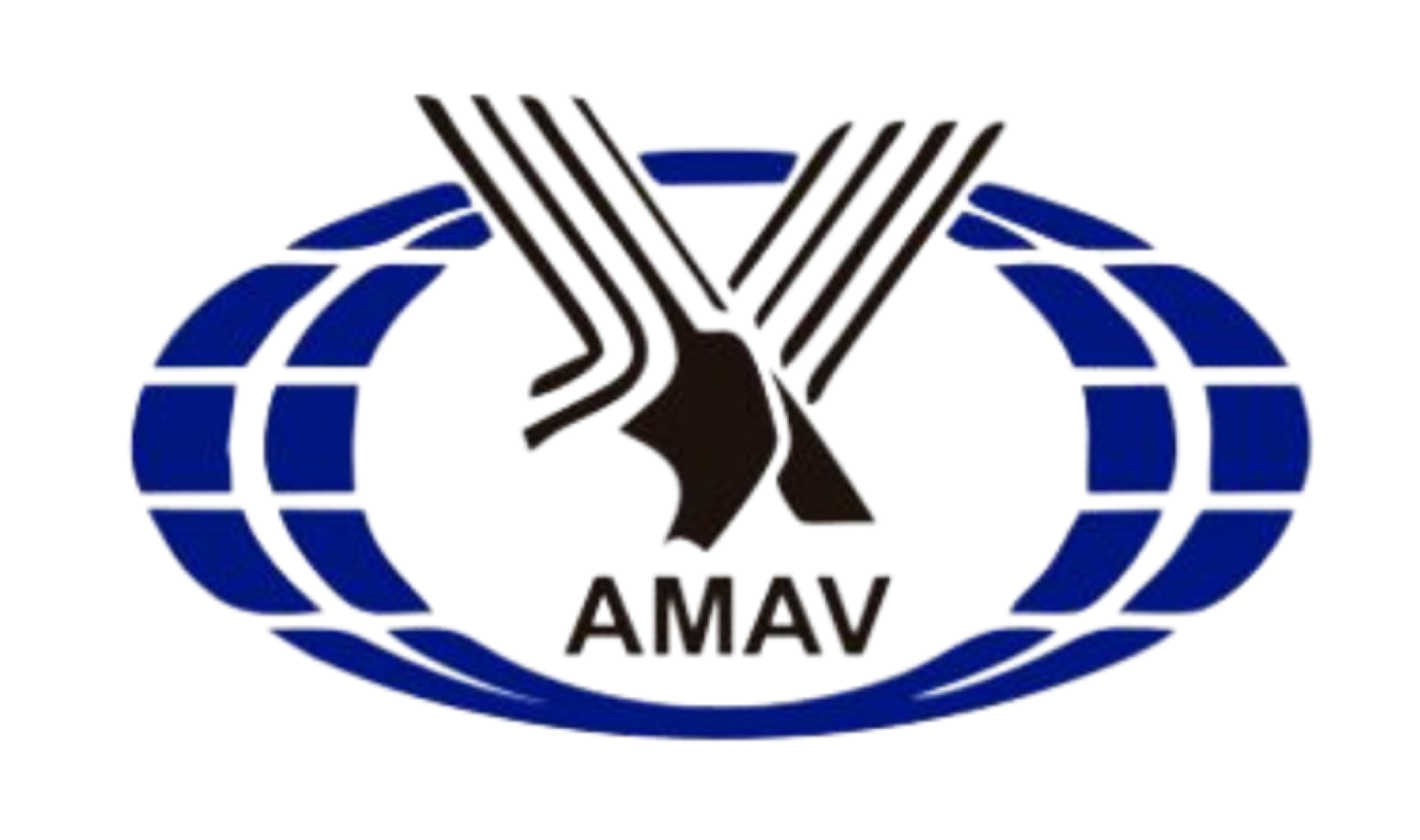 ¡SIGUEN FRAUDES A TURISTAS!