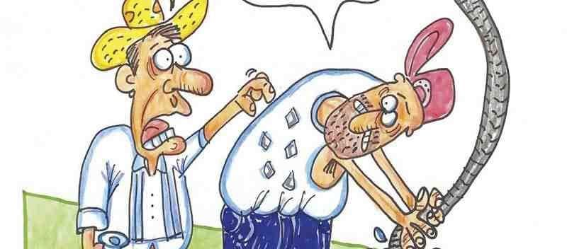 LOS CARTONES