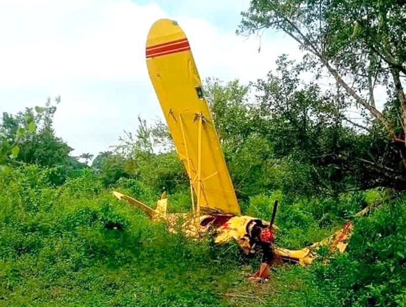 ¡SE CAYÓ LA AVIONETA! - ANDABA FUMIGANDO