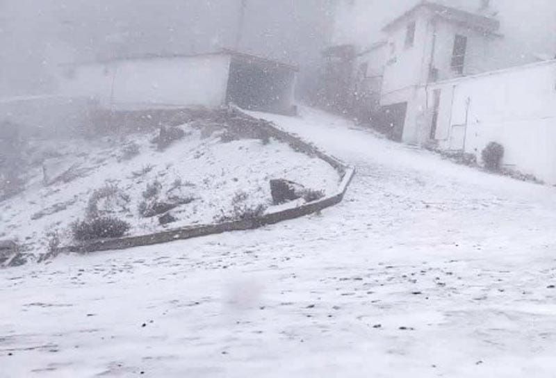 ¡YA NEVÓ EN EL COFRE!