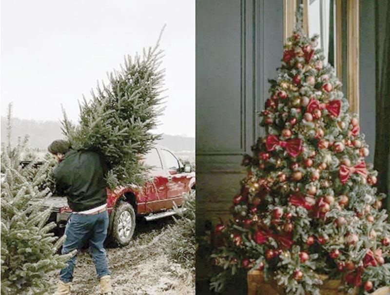 ¿ÁRBOL DE NAVIDAD NATURAL O ARTIFICIAL?