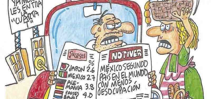 LOS CARTONES