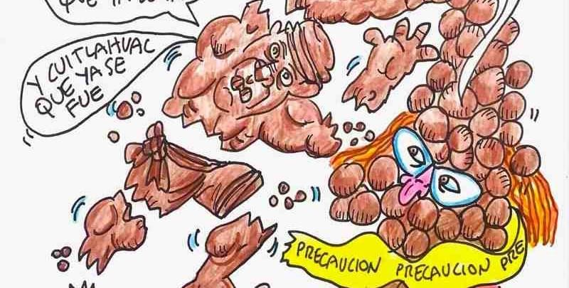 LOS CARTONES