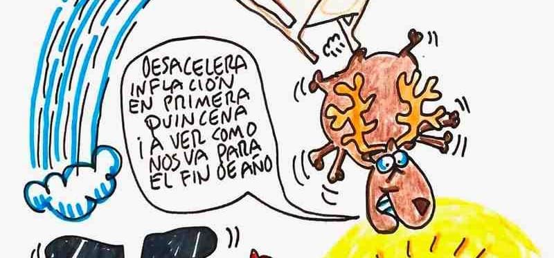 LOS CARTONES