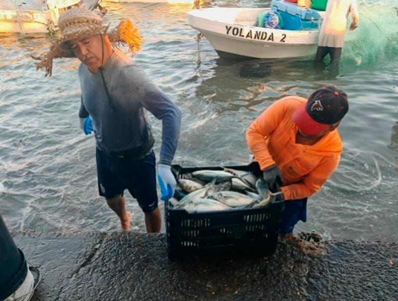 ¡SACAN 2 TONELADAS DE COJINUDA!