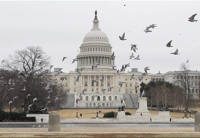 ¡DEMÓCRATAS DE EU IMPULSAN LEY PARA EVITAR GUERRA CONTRA MÉXICO!