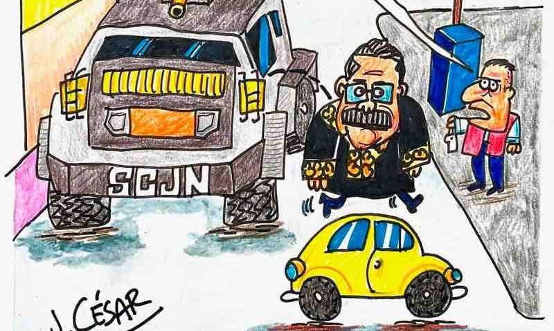 LOS CARTONES