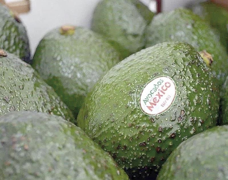 ¡EXTORSIÓN PEGA A GASTOS DE AGUACATEROS HASTA 5%!