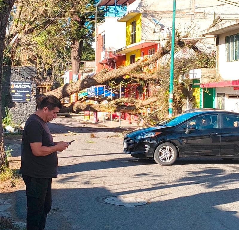 ¡DESDE CAÍDA DE ÁRBOLES HASTA INCENDIOS POR EL NORTAZO!