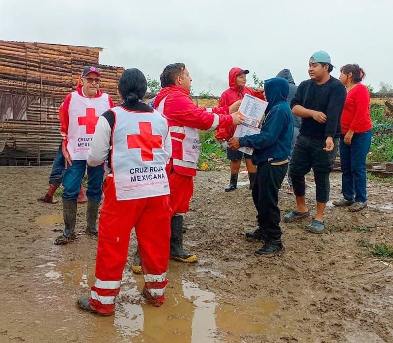 ¡SE METEN HASTA EL LODO!