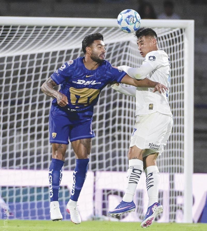 ¡LOS PUMAS SE METEN A LA “PERRERA” EN LA FRONTERA!