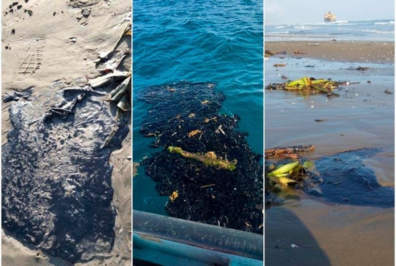 ¡SIGUE LLEGANDO CHAPOPOTE! - *A playas de Alvarado; pesca parada