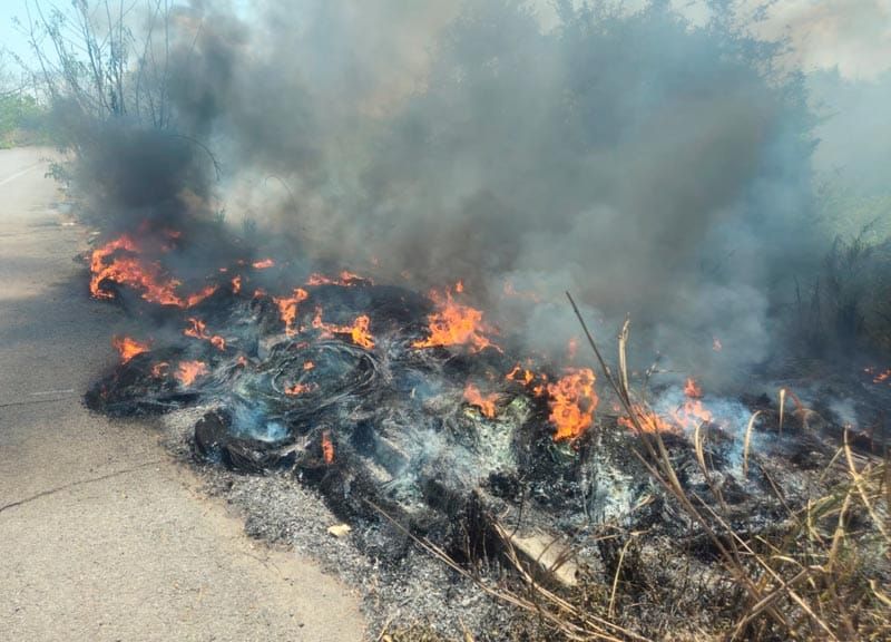 ¡SOFOCAN FUEGO EN PASTIZAL EN EL DISTRIBUIDOR VIAL DE LA CABEZA OLMECA!