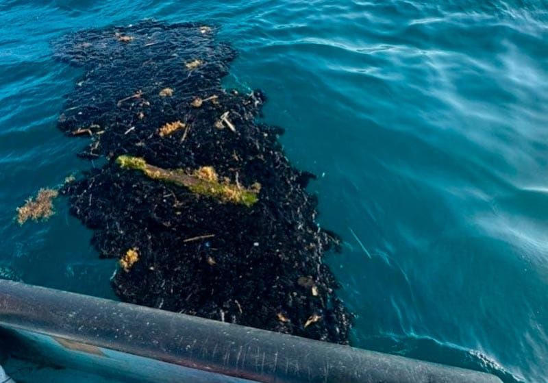 ¡YA ESTÁ EN ALVARADO! - SOS DE PESCADORES