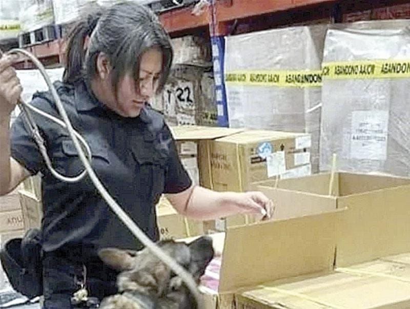 ¡ASEGURAN 22 MIL 800 VAPEADORES EN EL AICM!