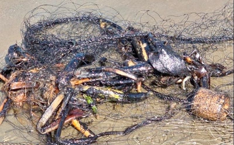 ¡LLEGA A PLAYAS DE CATEMACO! - LA MAREA NEGRA