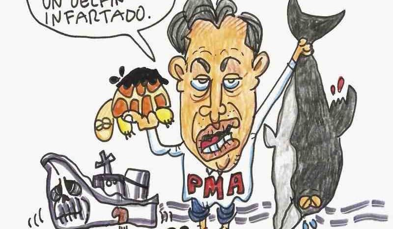 LOS CARTONES