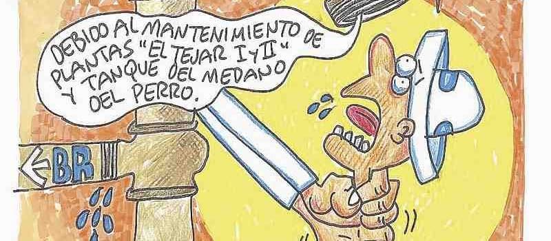 LOS CARTONES